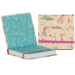 Mini Jotter Barney & Friends