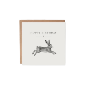 Hoppy Birthday Rabbit Greetings Card 15cm