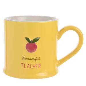 Wonderful Teacher Mug